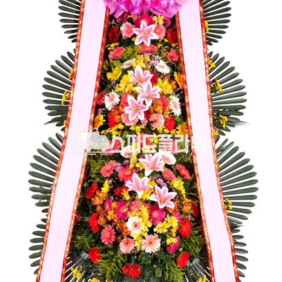 축하3단 일반형(강원/제주/군단위 지역 제외)