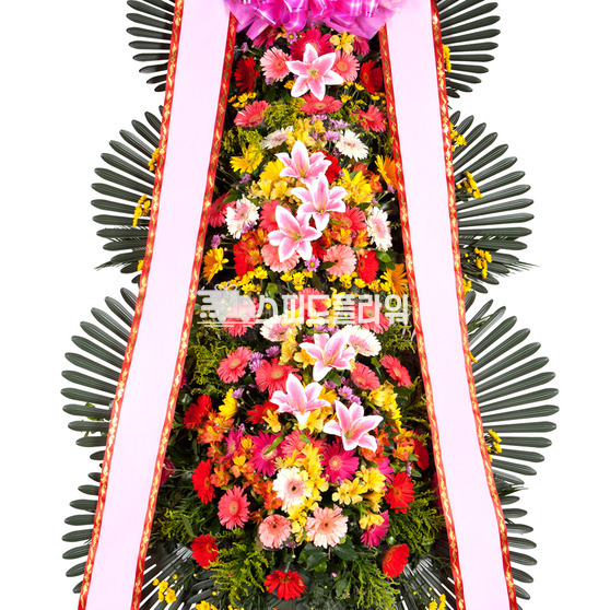 축하3단 일반형(강원/제주/군단위 지역 제외)