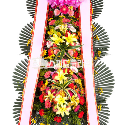 축하3단 중급형(강원도/제주지역 제외)
