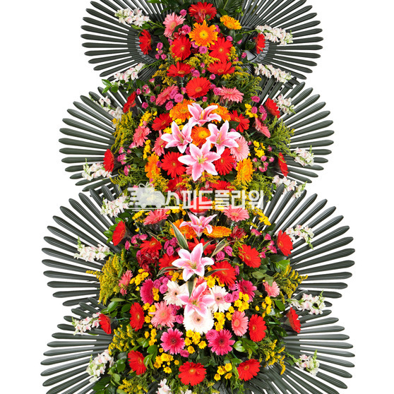 3단화환3