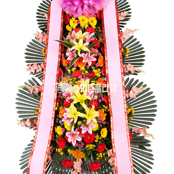 축하합니다