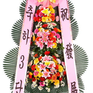 축하3단 실속형(서울/광역시만) 경기도x