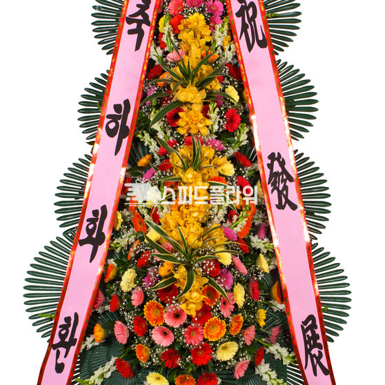 축하4단