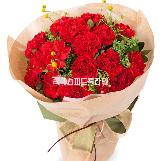 카네이션 꽃다발