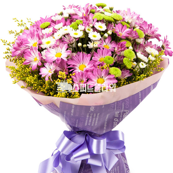 소국꽃다발 105b