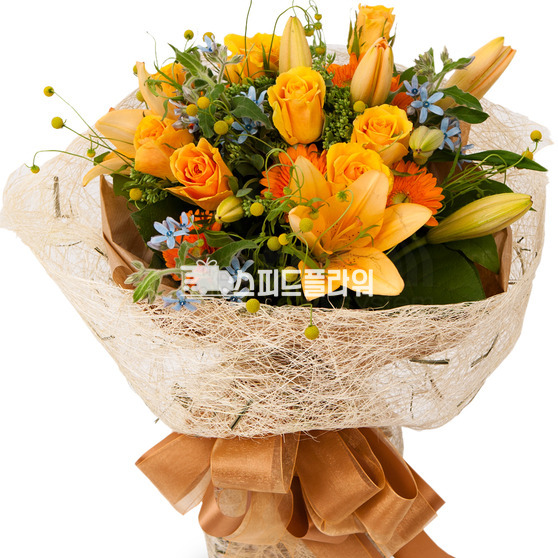 신비한 사람