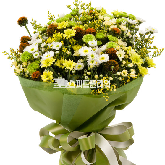 가을빛3