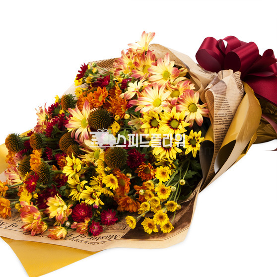 가을소국과의 이야기