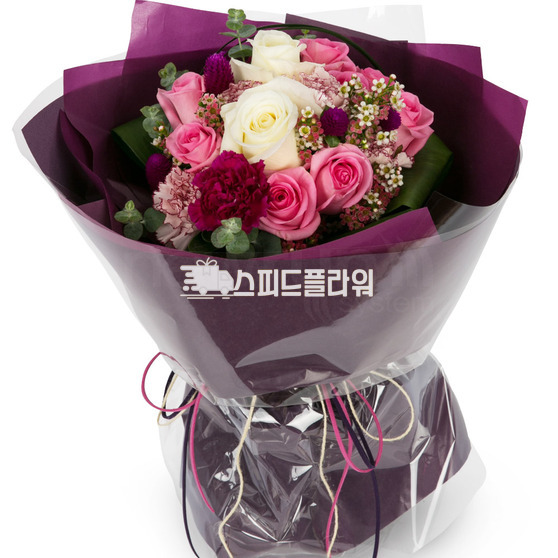 옴니아