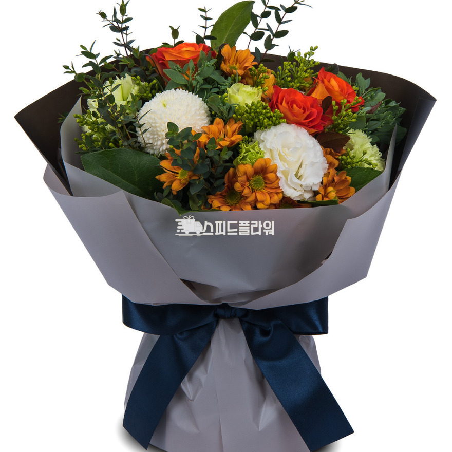 상세이미지