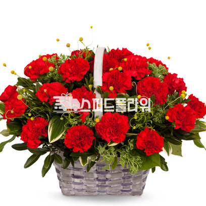 카네이션바구니 301s