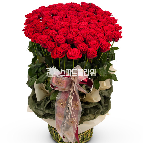 내 마음을 담아