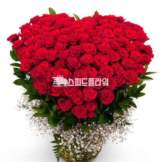 100송이 레드빛 사랑