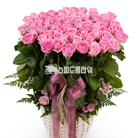 아침같은 사랑