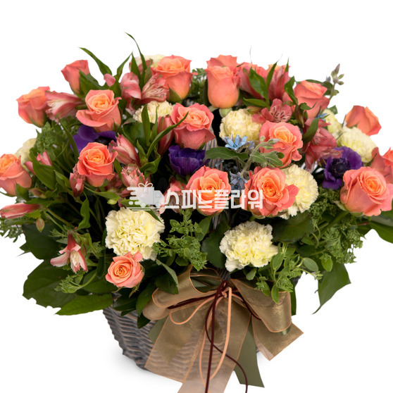 핑크톤바구니