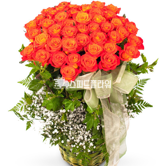 자주색장미바구니