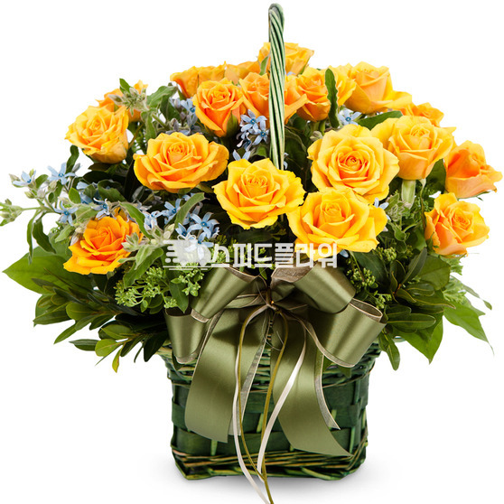엘로 2호