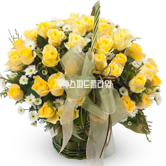 엘로 5호