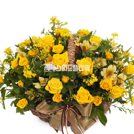 미니노랑장미혼합