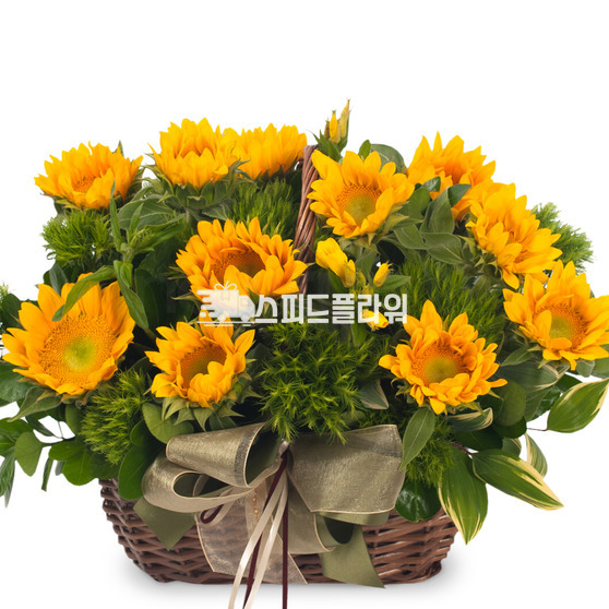 해바라기바구니(소)