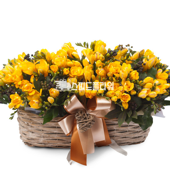 후리지아 정원