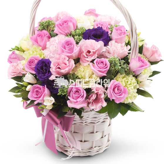 로즈 20호