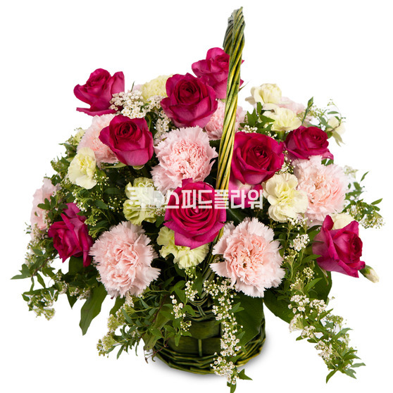 장미카네이션바구니