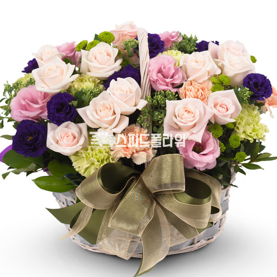 이브의 고백