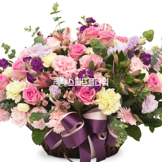 파스텔혼합바구니