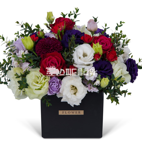 꽃바구니 블랙