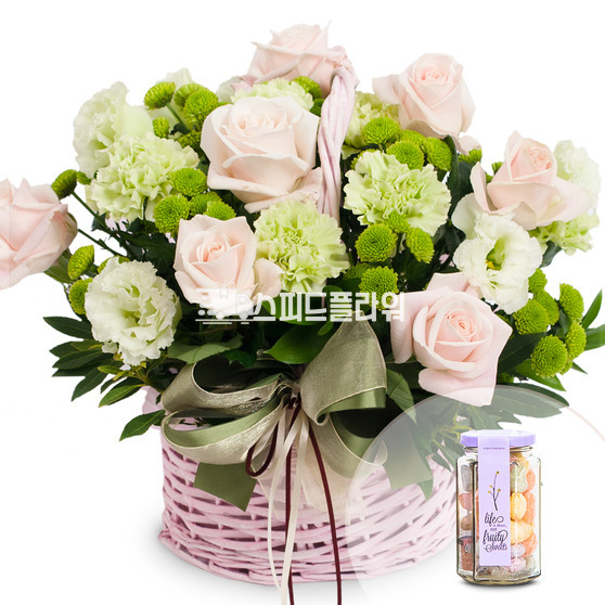 귀염둥이+캔디