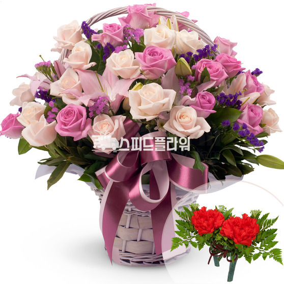감사를담아