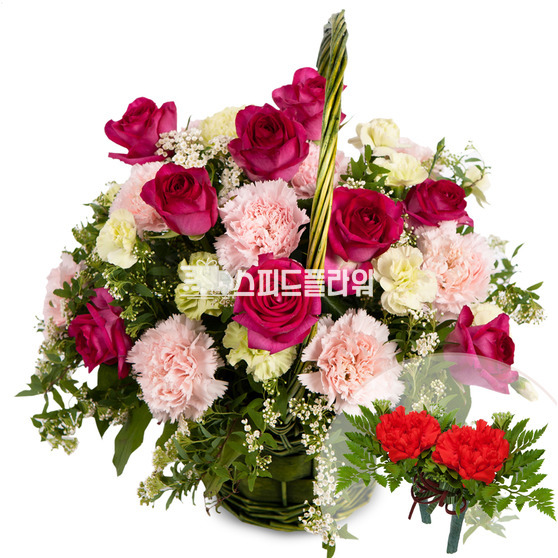 빨강장미카네이션바구니2