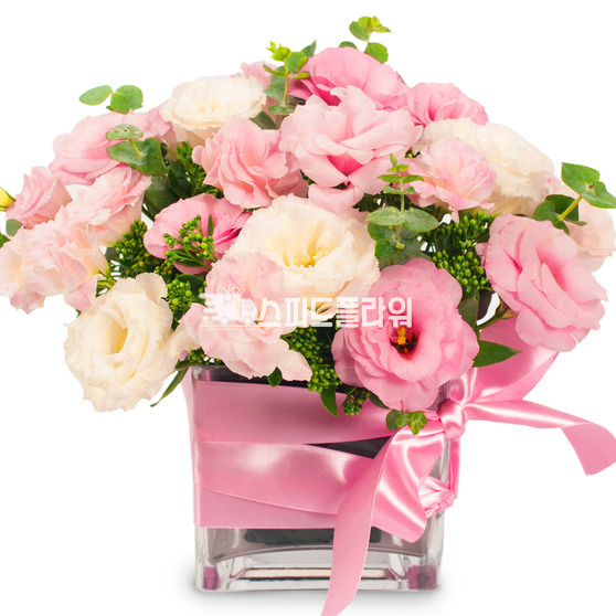 유리화기_리시안핑크