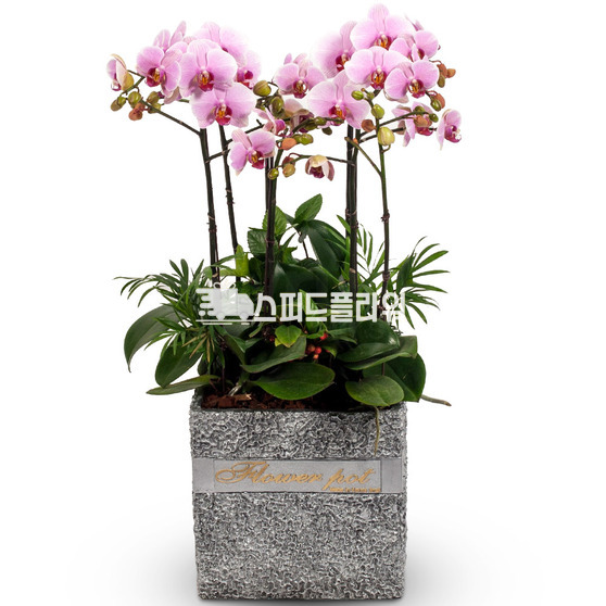 ★웨딩★