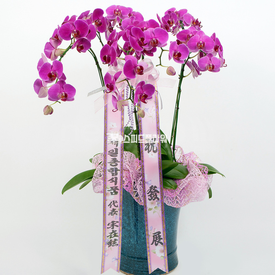 상세이미지