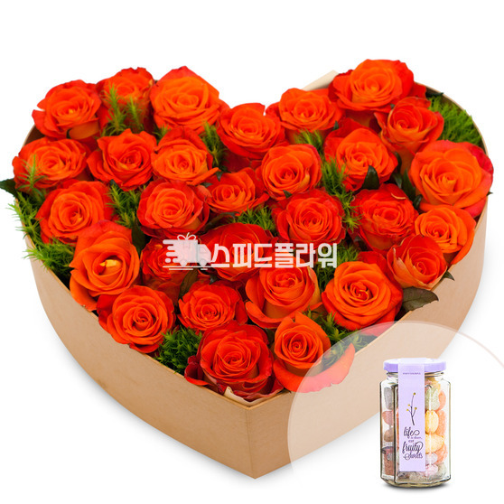 꽃기쁨33호