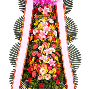 축하3단 일반형(강원/제주/군단위 지역 제외)