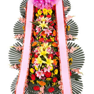 축하합니다