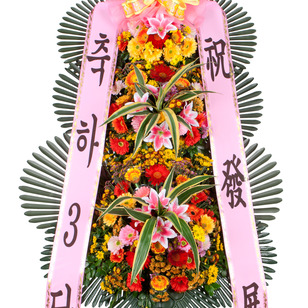 축하3단